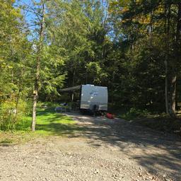 A travel trailer parked in a gravel campsite, surrounded by trees.