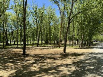 Backstreet Outdoor Adventures Campground