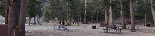G01, Loop: PALISADES GROUP CAMPGROUND
