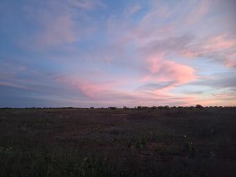 Abilene Butterfly RV Resort