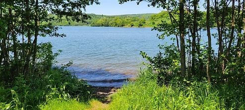 Ives Run Pine Camp