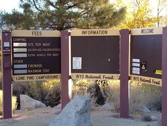 Lone Pine
