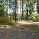 Kamloops Campground. Trees in the background.