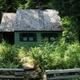 GOVT MINERAL SPRINGS GUARD STACabin with shake roof and green clapboard siding surrounded by ferns and conifer trees.