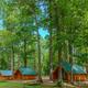 Cluster of on‑site cabins among trees — clear photo of cabin lodging and wooded setting from the property photo gallery.