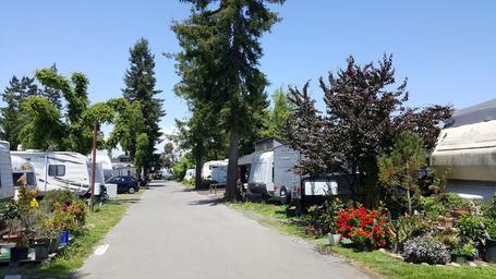 Wine Country RV Park – Sonoma