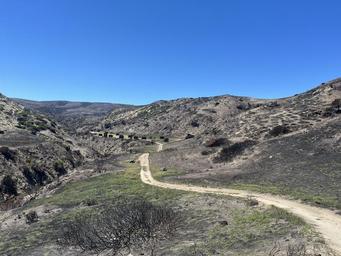 Santa Rosa Island