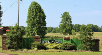 Big Buck Resort
