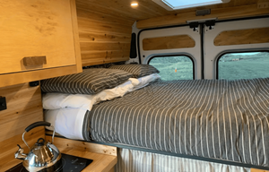 Stagecoach - RAM Promaster