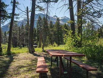 Picnic table in the foreground with grass, bushes, and trees nearby.  A mountain can be seen in the distant background.