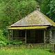 Log cabin with covered front porch in front of forest.