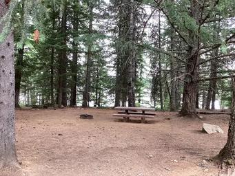 Pine Point
