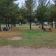 Picnic area with benches and trees.
