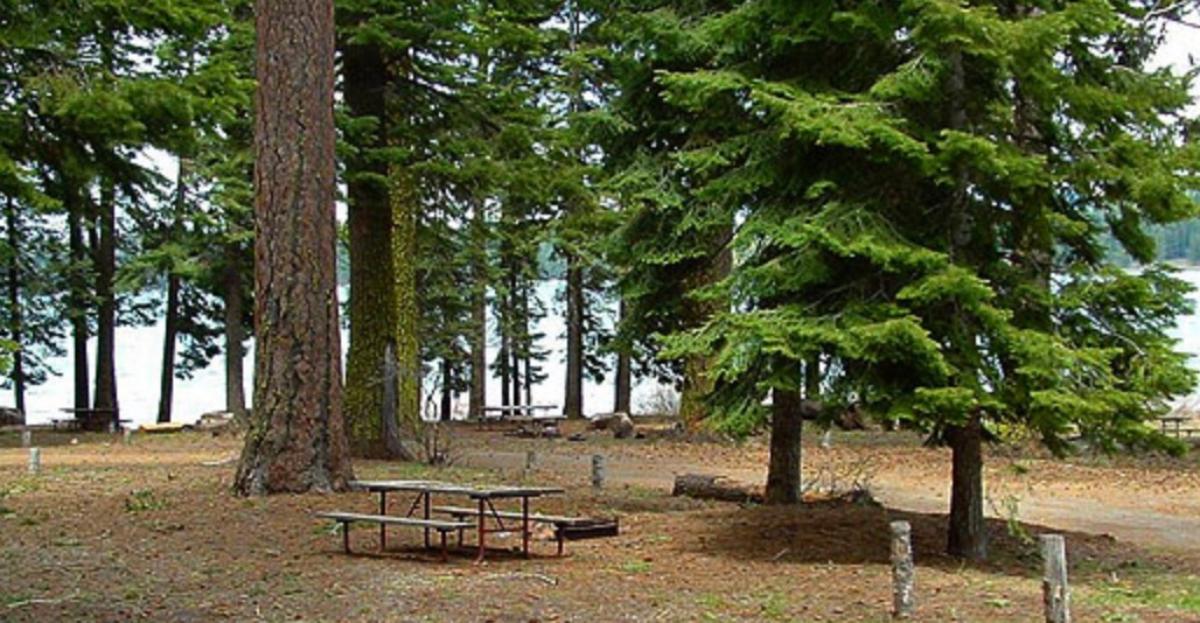 Willow Point