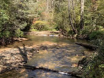 Fishing Area near the Cooper Creek Loop