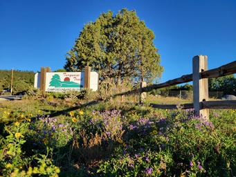 Turquoise Trail Campground & RV Park