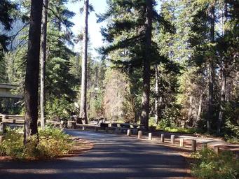 Lodgepole Campground (wa)