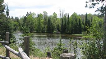 Au Sable Loop Campground