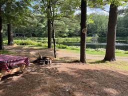 Maple Bear Campground