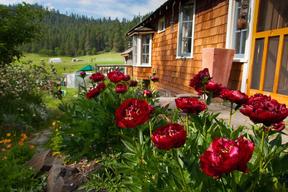Willow-Witt Ranch