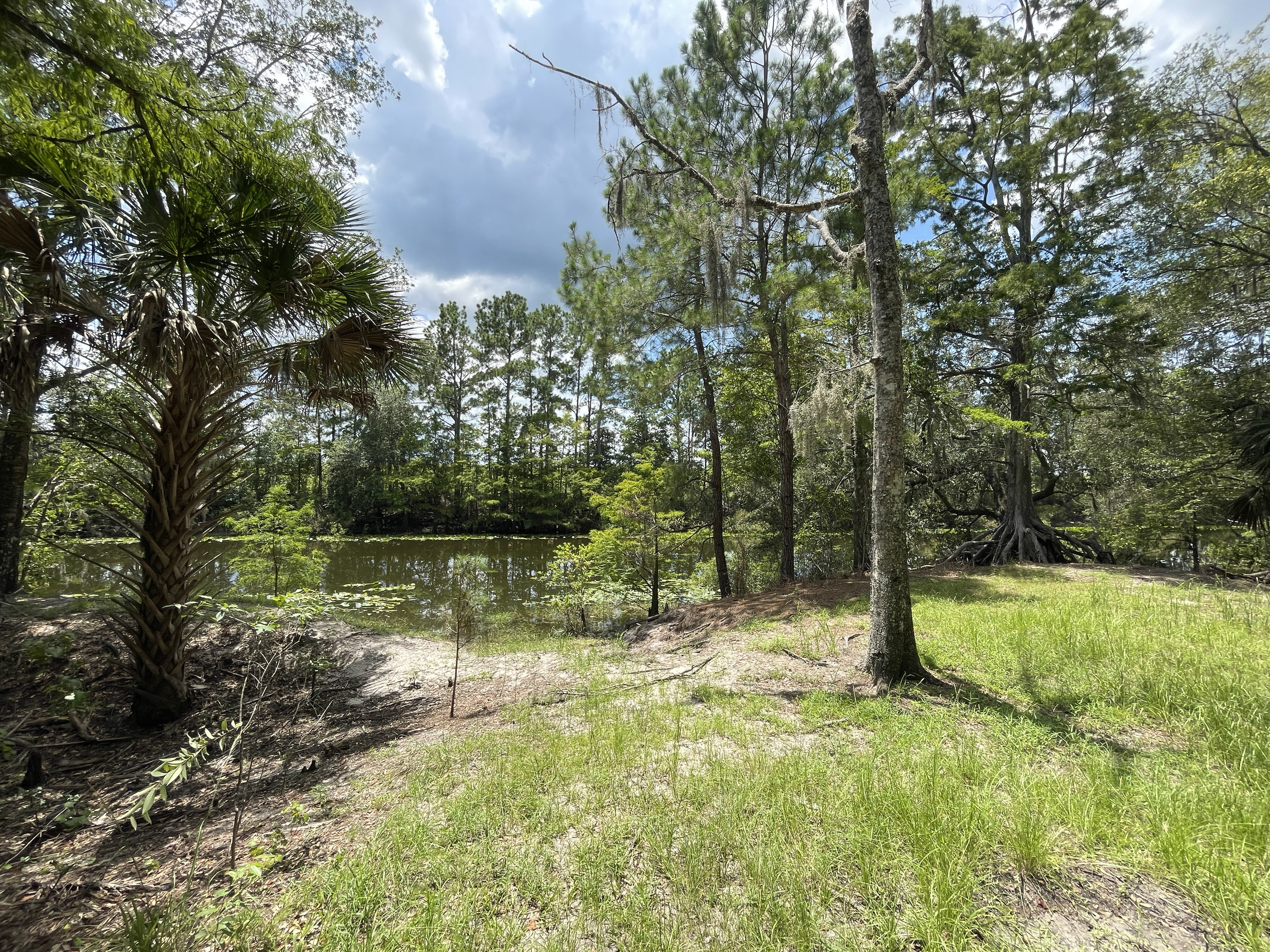Ocklawaha Prairie Restoration Area Hike-In SJRWMD