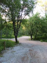 Grafton Notch Campground