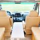 Vincent Van Go - Leisure Travel Van Serenity