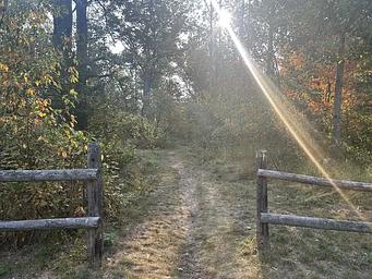 A photo of trail to Ausable River at Gabions Campground