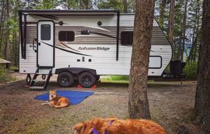 Cozy Couples Camper near Glacier - Pet Friendly!