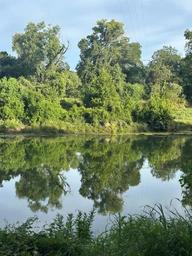 River or pond reflection framed by trees—illustrates nearby water scenery and natural setting presented on the park website.