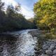 Photograph shows a wooded river/stream shoreline with rocks and trees — matches site text mentioning water frontage on Moosilauke/Gordon Pond Brook; used as the homepage/social image on the camp website, so likely on-property scenery.