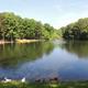 Wide lake panorama showing shoreline, trees and water — attractive scenic overview of the campground grounds (background image on site).