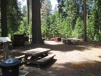 Camp Unit 1 with large trees.