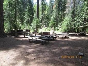 Middle Meadows