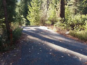 Site 5