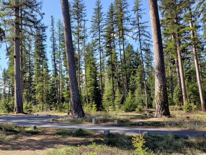 Seeley Lake Lolo Campground (MT)