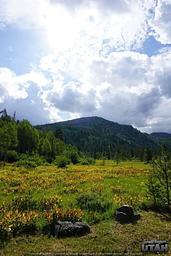 LEDGEFORK CAMPGROUND 2