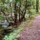 Trails Along the Creek Nearby