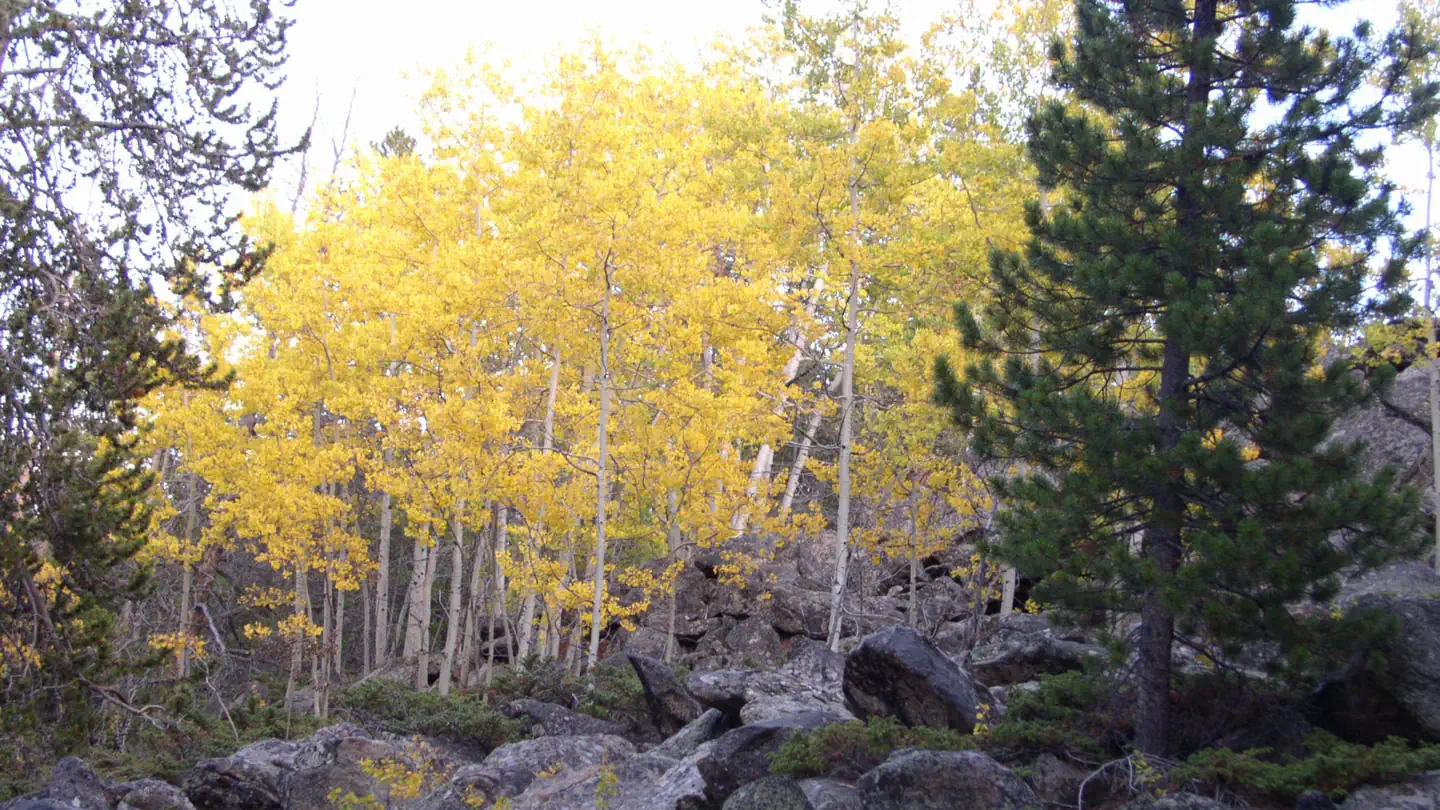Lost Cabin Campground