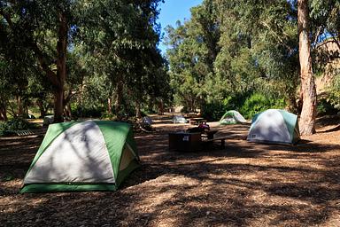 Tents in forested area. 
