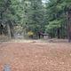 Halfway Flat Campground