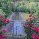Overlook of the outflow