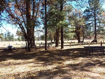Group picnic site.