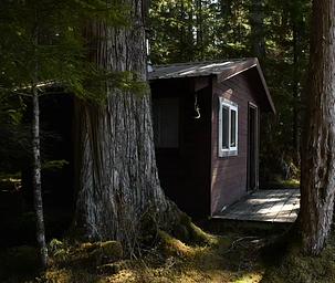 Salmon Bay Lake Cabin