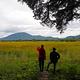 Visitors looking at the view from Sergief Island Cabin