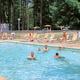 Wide, high-resolution photo of the park swimming pool with surrounding lounge chairs and cabins/trees in the background — clearly shows an on-site amenity. Source page: Amenities header on the property site.