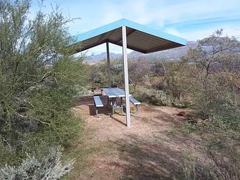 Cholla Campground