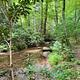 Cove Creek Near Campsites 7 & 8