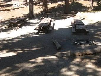 Picnic benches and fire ring.