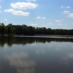 Wide view of the park’s lake and tree-lined shore under blue sky — strong scenic overview of the main water feature visible on the property pages.